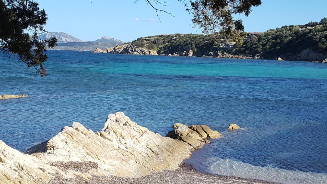 Appartamento A Porto Rotondo - Villaggio Punta Volpe - Iun S5393 Екстер'єр фото